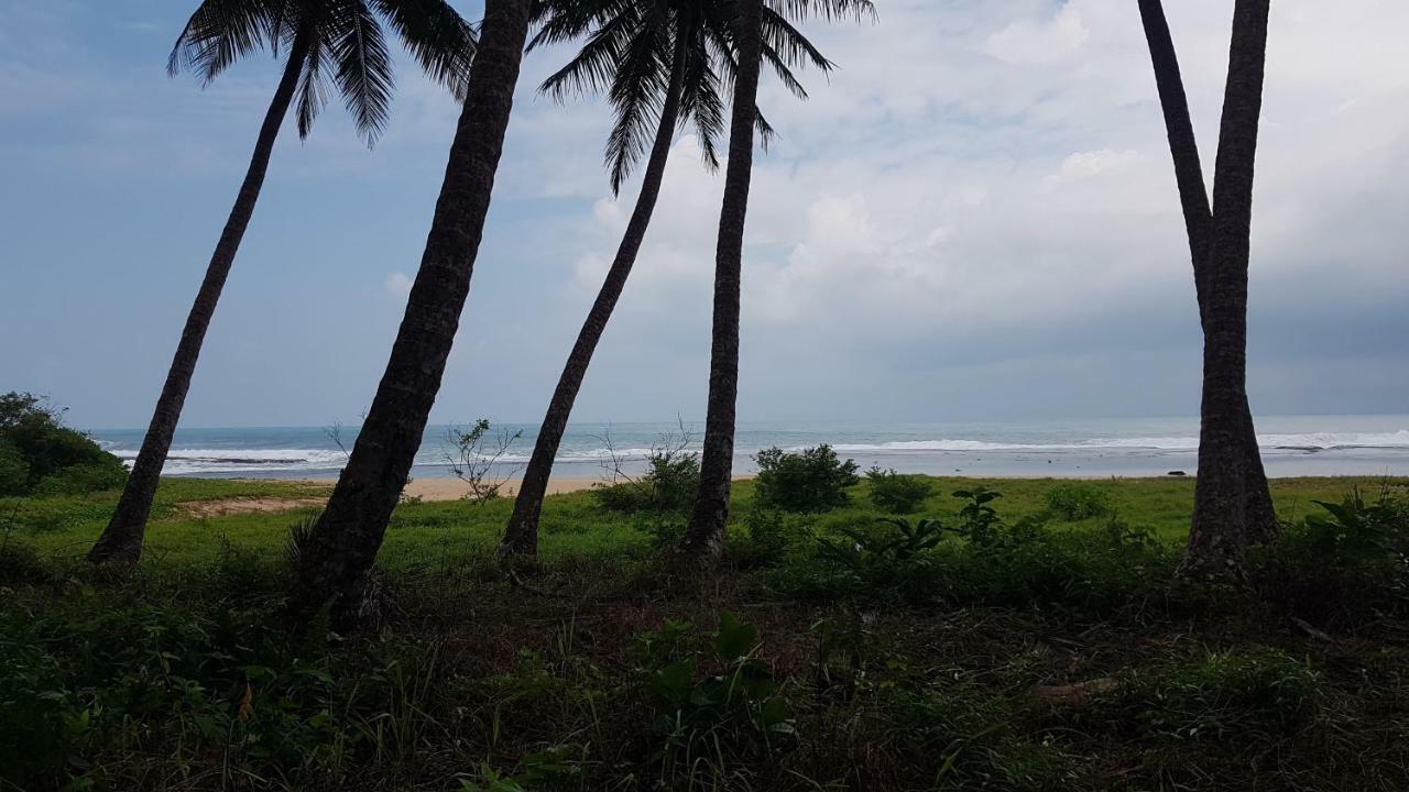 Oseda Nias Surf House Hotell Hilibotodane Eksteriør bilde