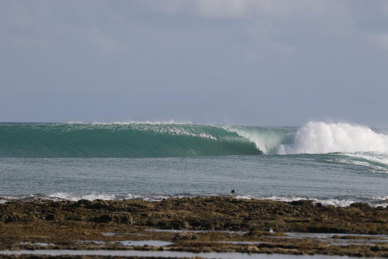 Oseda Nias Surf House Hotell Hilibotodane Eksteriør bilde
